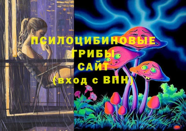 крисы Коряжма