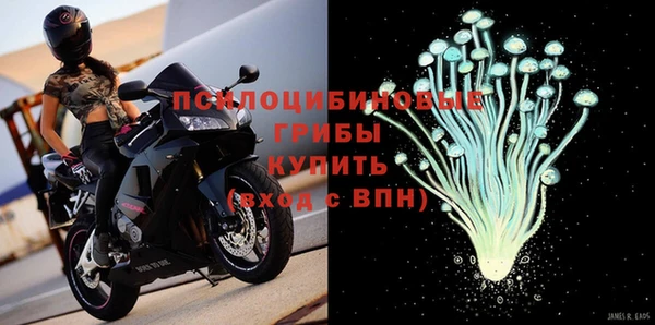 2c-b Краснослободск