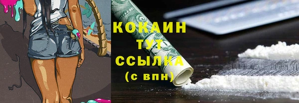 2c-b Краснослободск