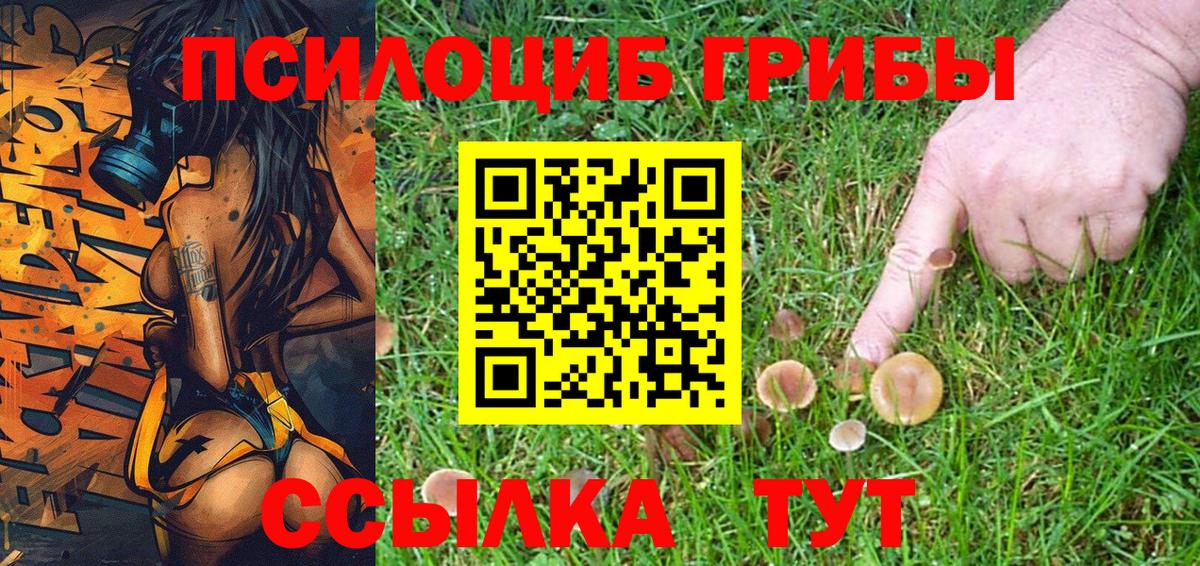 Галлюциногенные грибы Cubensis Людиново